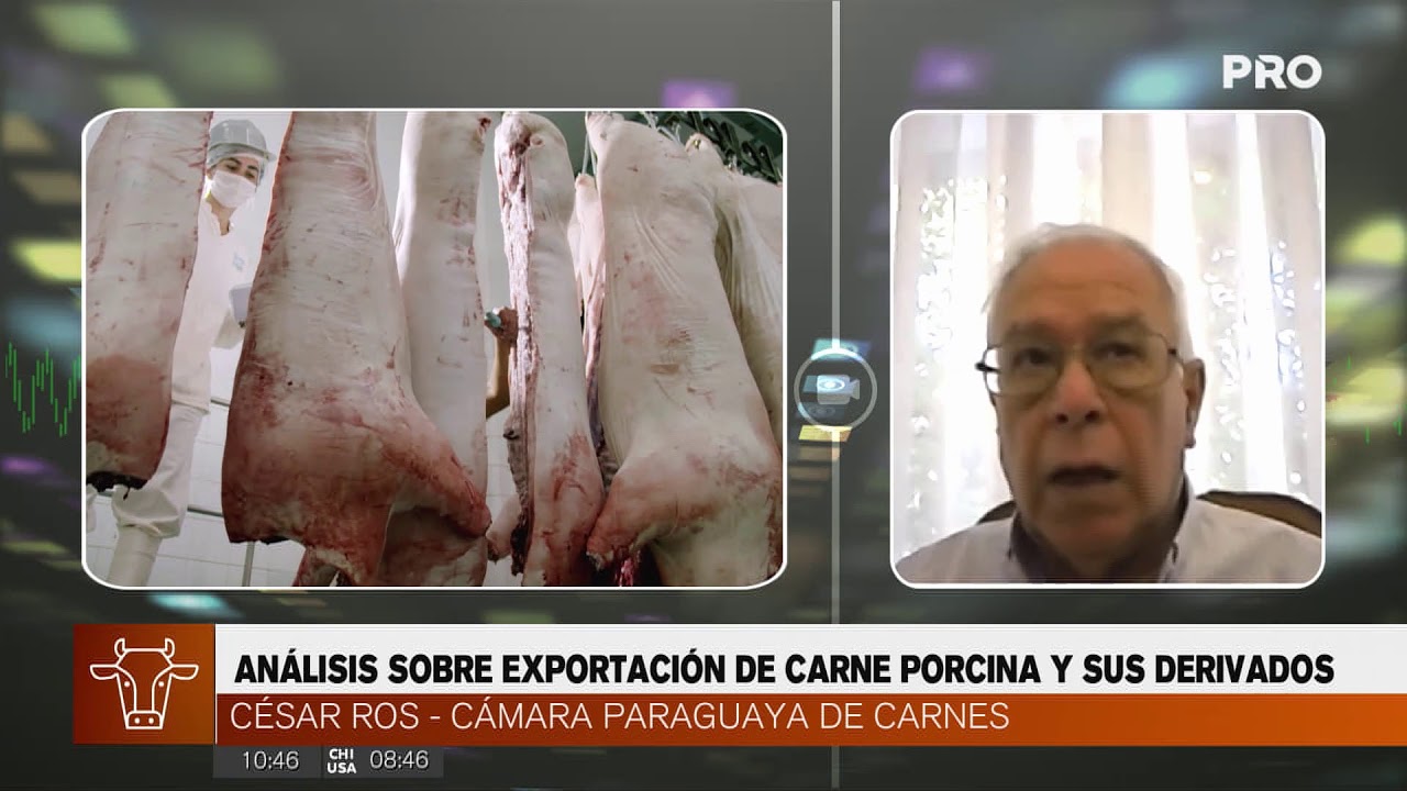 Análisis sobre exportación de carne porcina y sus derivados