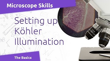 Microscope Basics: Kohler Illumination
