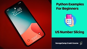 Python Example Code | Format Phone Number | SavageCamp