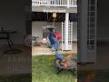 Top 5 funny moments||Try not to react challenge. #funny #memes #compliation