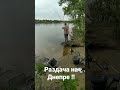 Попал на раздачу леща на реке Днепр!