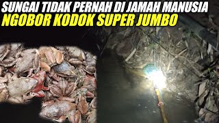 NGOBOR KODOK SUNGAI TIDAK PERNAH DI JAMAH MANUSIA