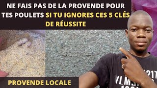 Provende poule : Ne fabrique jamais un aliment pour tes poulets si tu ignores ces choses.