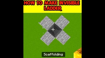 How to make invisible ladder in minecraft #shorts #trend