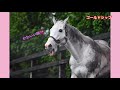 ゴールドシップ と雨の日のみんな