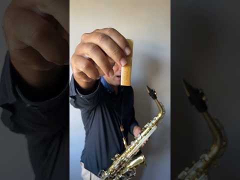 Ver TESTE DE PALHETA JAVA X RICO ROYAL no YouTube