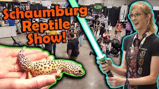 Attending a Huge Reptile Show in Illinois!