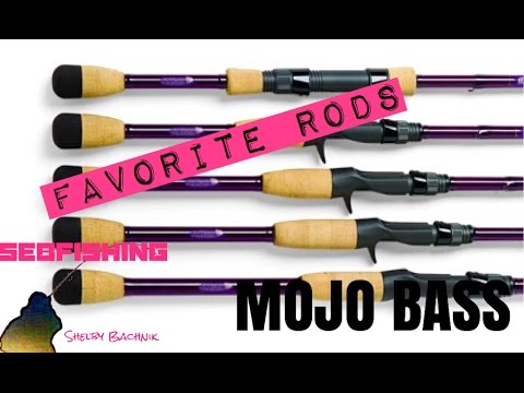 mojo bass combo