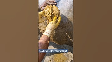 Successful Recovery of Plastic Cover from Cow