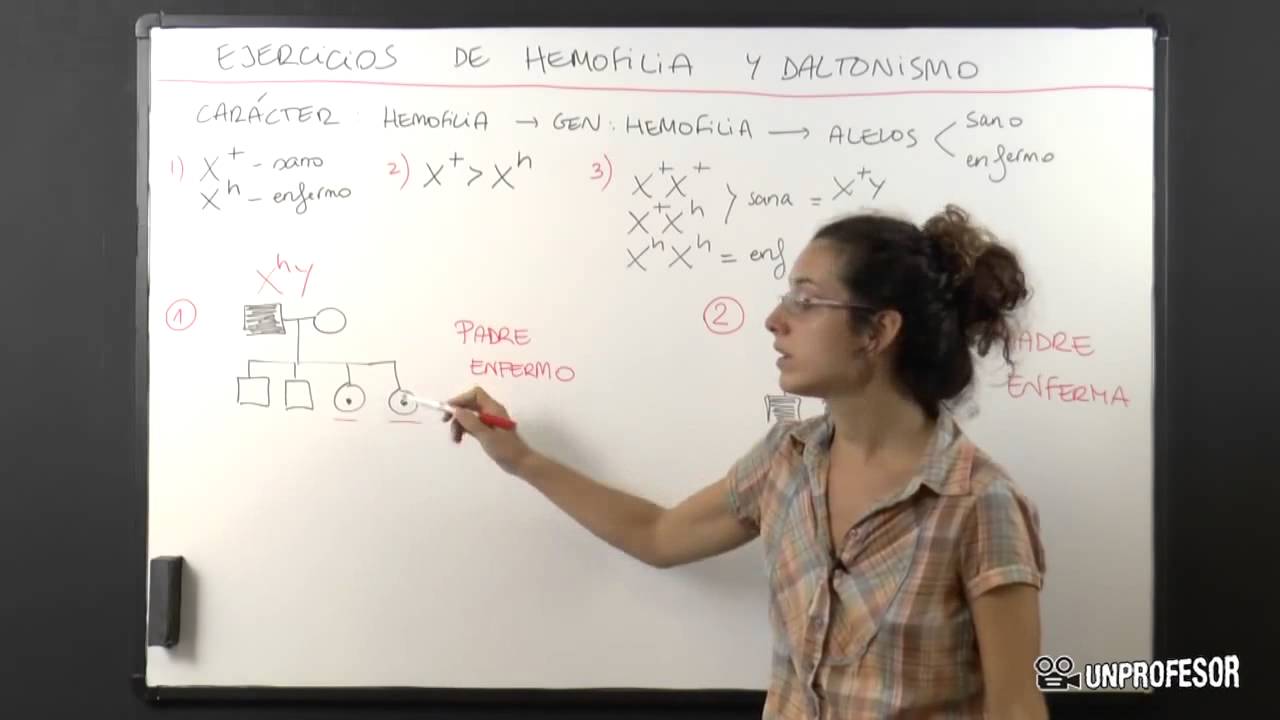 Ejercicios de genetica de hemofilia y daltonismo - YouTube