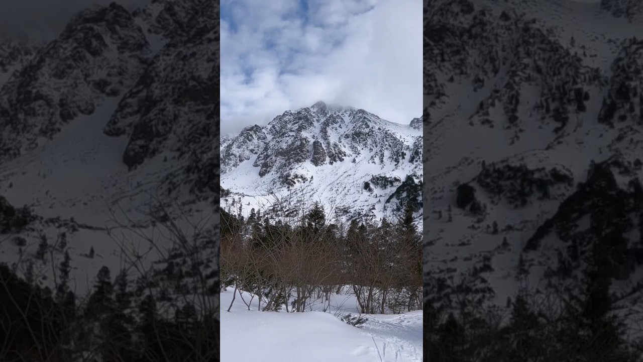 Winter Hike, Nature Trail, Forest Walk, Hiking 