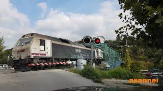 20181019 MADERERO POR BETANZOS CIDADE