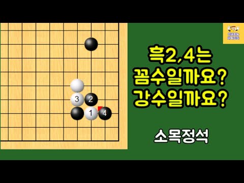 난해한 정석을 피할 때 등장한 흑의 강펀치. AI가 또 업그레이드 시켰습니다! - 소목 정석