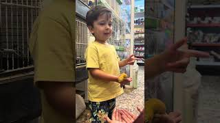 Ο νέος μας κολλητός το leopard gecko 🦎 #limniosfamily #funny #maximos