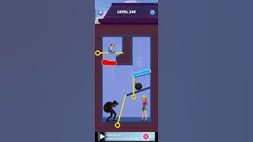 Home Pin 4 Game Pull the Pin Level 246 | andriogamesplay | gamerzsnowy