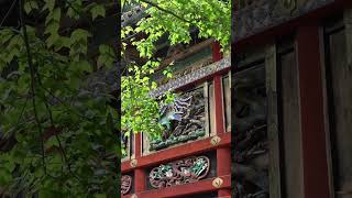 Did you think Nikko was only about Toshogu Shrine?