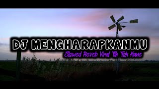 Dj Mengharapkanmu Slowed Reverb X Sound Tik Tok Kane ( Fikri Eneste Ft @HengkiNST )