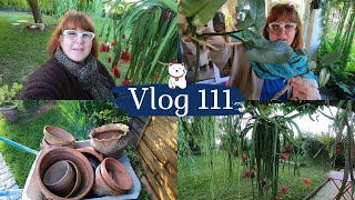 VLOG 111🌿 On sort les EPIPHYLLUMS et RHIPSALIS | Je sauve une plante | Des trouvailles | La serre