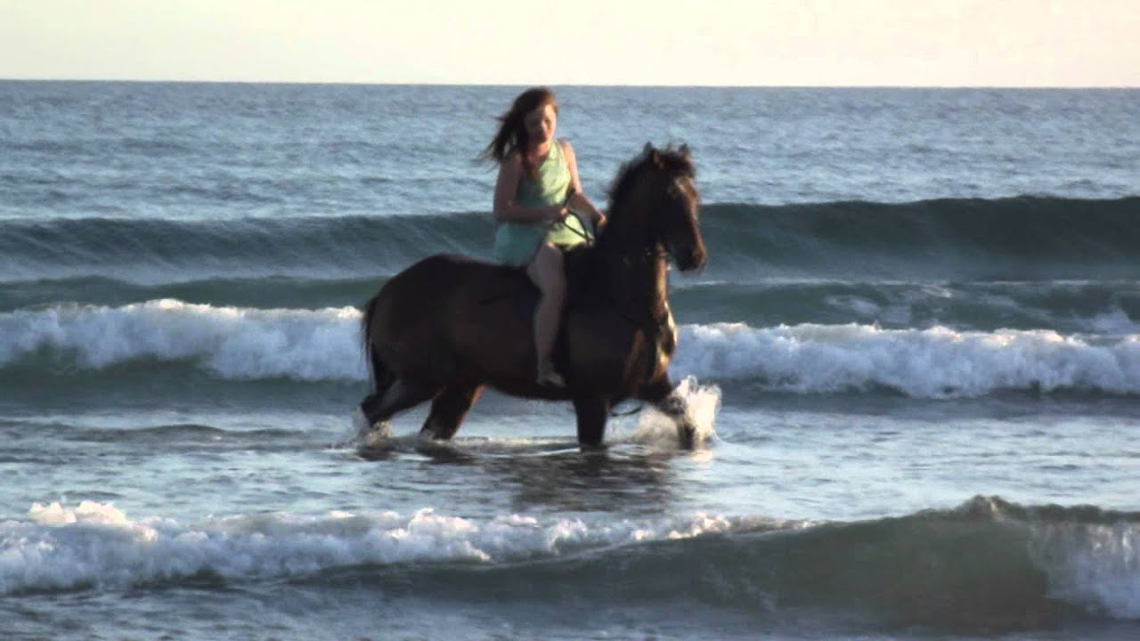 Beach clips - raw. Porn Photo Hd