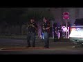 Pedestrian struck and killed on Westheimer near Dairy Ashford