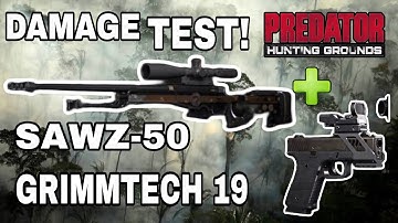 FIRE TEAM SCOUT CLASS DAMAGE TEST VIDEO - AMAZON PREDATOR with Impenetrable Perk!