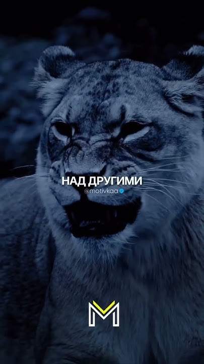 Победишь себя-будешь непобедим! #работанадсобой #веравсебя #motivation ...