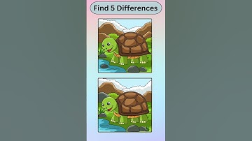 Find the Difference #31 #shorts  #spotthedifference