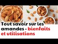 Tout savoir sur les amandes - bienfaits et utilisations | CDT NEWS