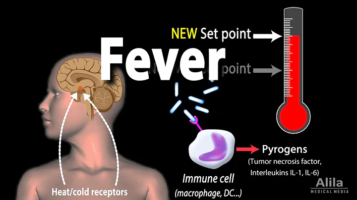 Induction of Fever, Control of Body Temperature, Hyperthermia, Animation. - DayDayNews