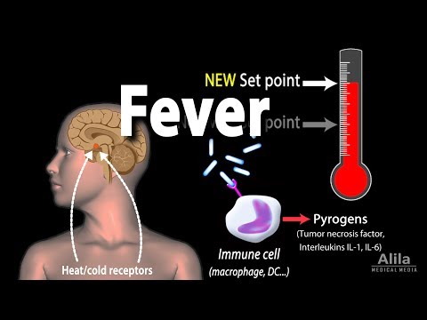 Video: Da li pirogeni snižavaju tjelesnu temperaturu?