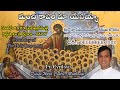 Divine Mercy Intercession | Fr. Cyril Doss SVD | Divine Word Centre,Muthangi  | 28-12-2022 |