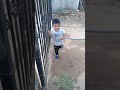 Saad Babu and Zaid Babu playing #trending #viral #travel #automobile