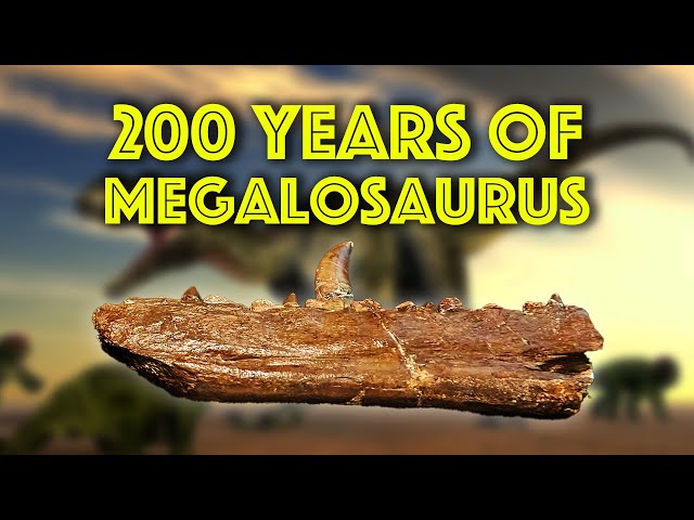 200 Years Of Megalosaurus: The First Named Dinosaur - Palaeontologist Prof Paul Barrett Interview class=
