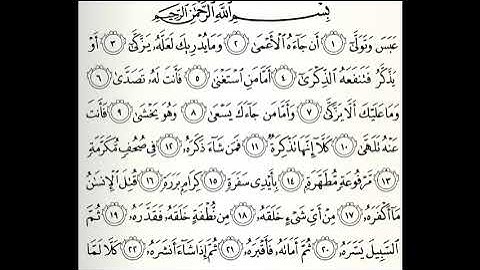 تلاوات مختارة سورة عبس القارئ ناصر علي الغامدي
