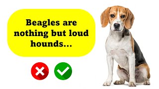 10 Beagle Myths Debunked