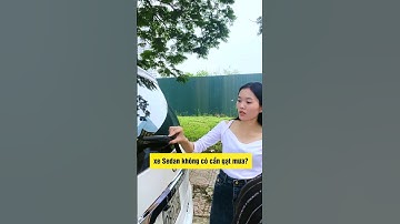 Tại sao xe Sedan không có cần gạt mưa?