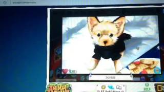 How many times is animal jam gotta mess up?!|animal jam gameplay