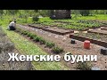 Женские будни // Навожу порядок // Экскурсия по огороду