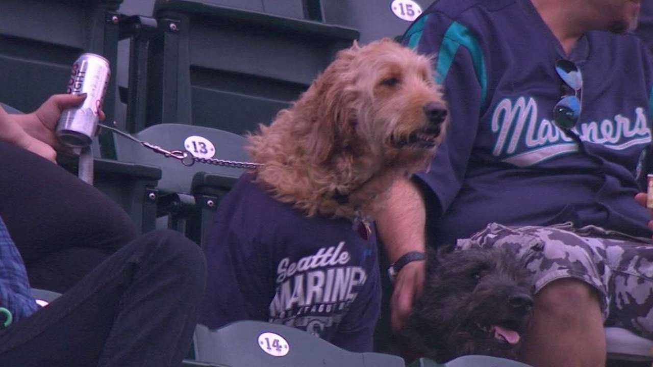 OAK@SEA: Bark at the Park at Safeco Field 