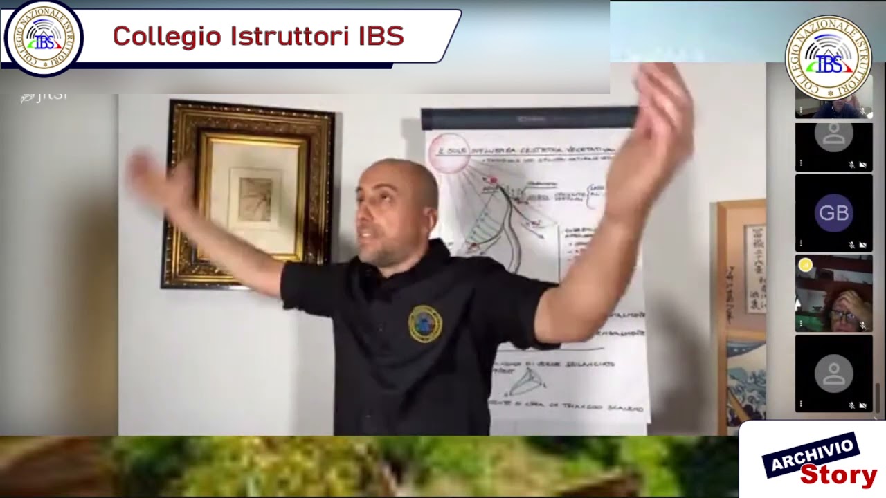 IBSarchivi Bruno Proietti Tocca e la struttura del palchi