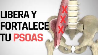 Libera Y Fortalece Tu Psoas