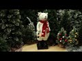 Animated Bear