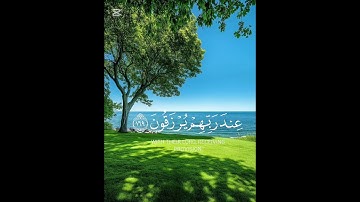 القرآن الكريم تلاوة من سورة آل عمران قاري  شريف مصطفى #راحة_نفسية