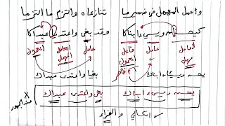 شرح ألفية ابن مالك 113 - التنازع ٢ - حكم الإضمار في العامل المهمل