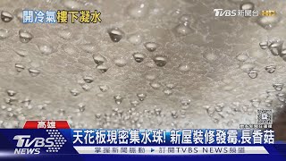 密集恐懼症慎入! 水泥天花板布滿水珠　新屋裝修停擺｜TVBS新聞 @TVBSNEWS01
