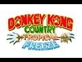 Pack Dat Aus #8 - Donkey Kong Country: Tropical Freeze