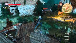 The Witcher 3: Finisher (manual)