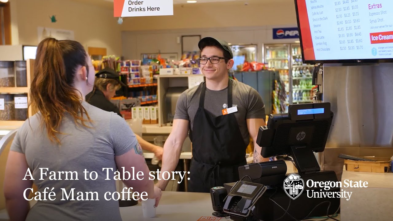 A Farm to Table story Café Mam coffee YouTube