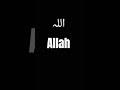 Allah Allah Allah Allah Allah Allah Allah Allah Allah 🙏 #islamicvideo