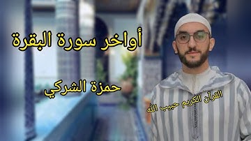حمزة الشركي أواخر سورة البقرة surah baqarah#حمزة_الشركي#دعاء_مستجاب